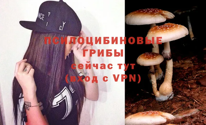 Галлюциногенные грибы Magic Shrooms  Волгоград 